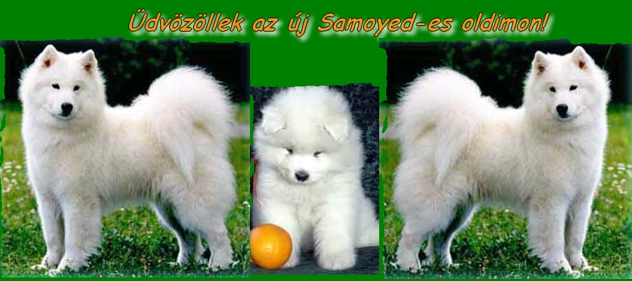 *Horse-Lovak* dvzllek a lovak csodlatos vilgban!